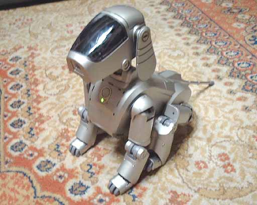 AIBO1.jpg